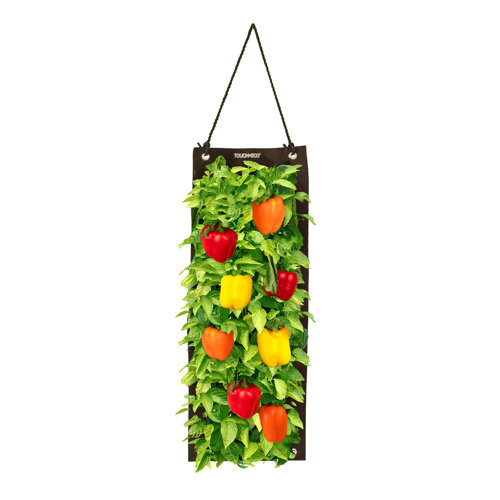 Touch of ECO Organic Hanging Sweet Pepper Growing Kit & Reviews Wayfair